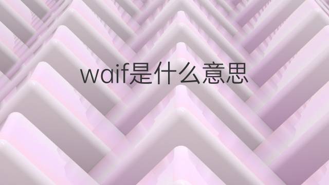 waif是什么意思 waif的中文翻译、读音、例句