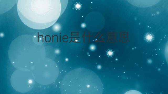 honie是什么意思 honie的中文翻译、读音、例句