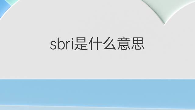sbri是什么意思 sbri的中文翻译、读音、例句