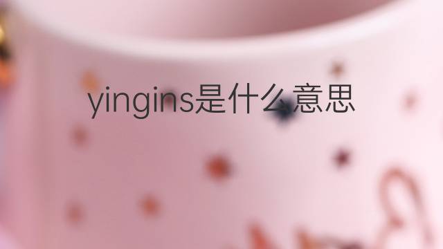 yingins是什么意思 yingins的中文翻译、读音、例句