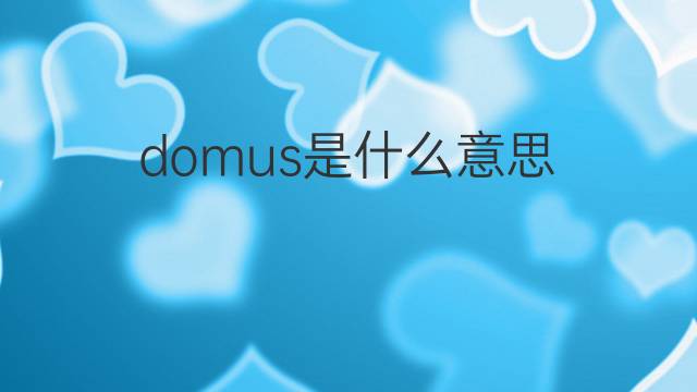 domus是什么意思 domus的中文翻译、读音、例句