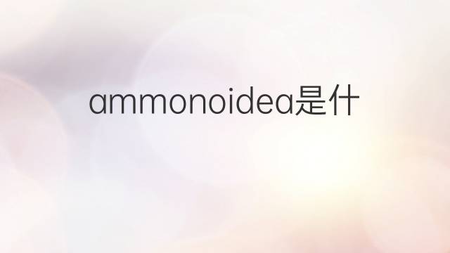 ammonoidea是什么意思 ammonoidea的中文翻译、读音、例句
