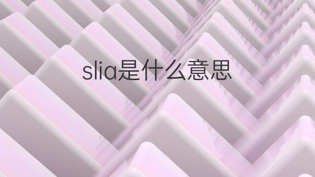 slia是什么意思 slia的中文翻译、读音、例句