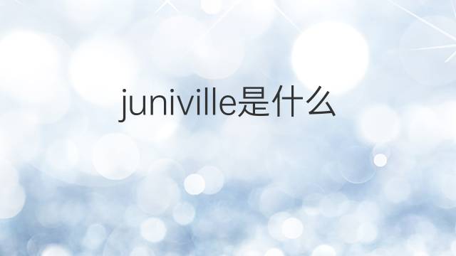juniville是什么意思 juniville的中文翻译、读音、例句