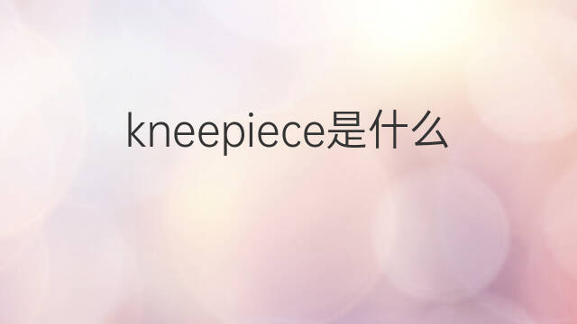 kneepiece是什么意思 kneepiece的中文翻译、读音、例句