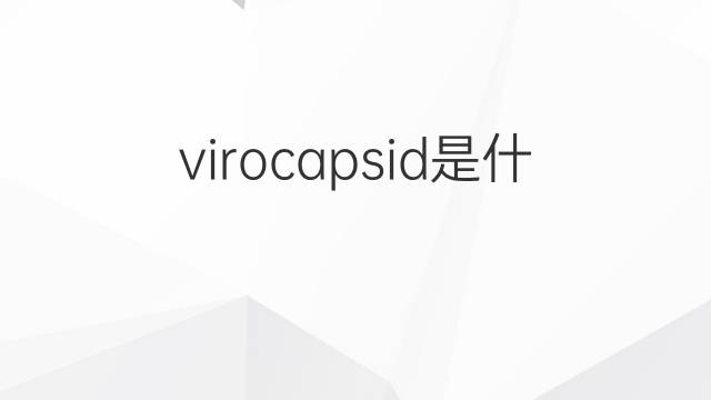 virocapsid是什么意思 virocapsid的中文翻译、读音、例句