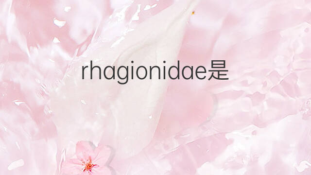 rhagionidae是什么意思 rhagionidae的中文翻译、读音、例句