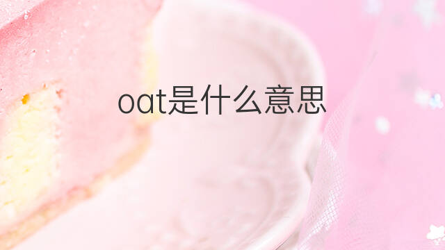oat是什么意思 oat的中文翻译、读音、例句