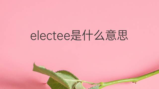 electee是什么意思 electee的中文翻译、读音、例句