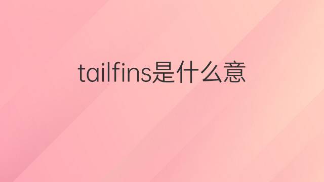 tailfins是什么意思 tailfins的中文翻译、读音、例句