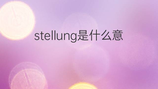 stellung是什么意思 stellung的中文翻译、读音、例句