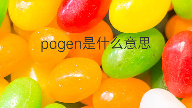 pagen是什么意思 pagen的中文翻译、读音、例句