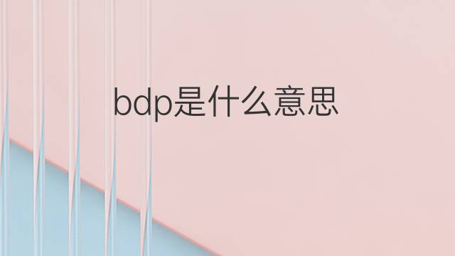 bdp是什么意思 bdp的中文翻译、读音、例句