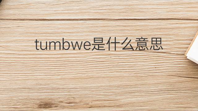 tumbwe是什么意思 tumbwe的中文翻译、读音、例句