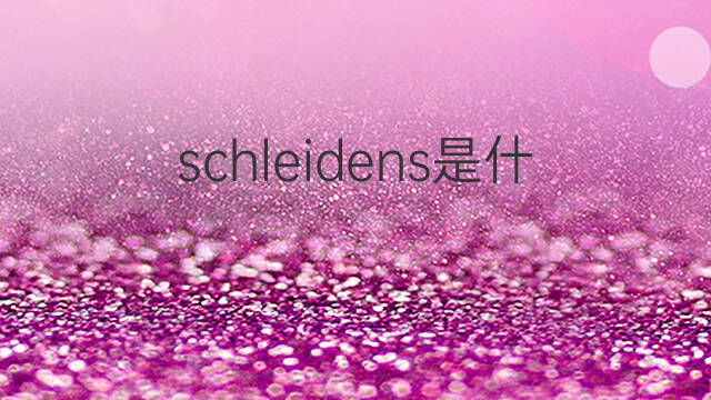 schleidens是什么意思 schleidens的中文翻译、读音、例句