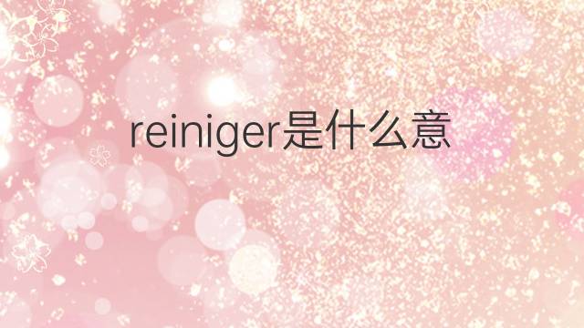 reiniger是什么意思 reiniger的中文翻译、读音、例句