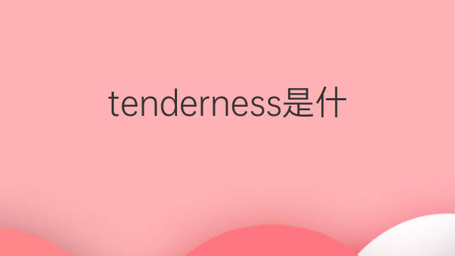 tenderness是什么意思 tenderness的中文翻译、读音、例句