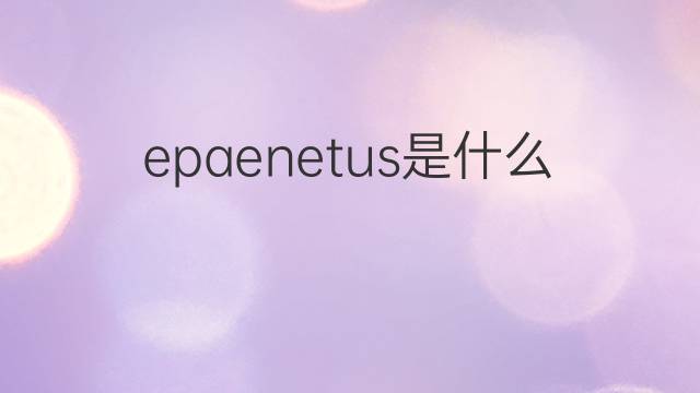 epaenetus是什么意思 epaenetus的中文翻译、读音、例句