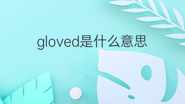gloved是什么意思 gloved的中文翻译、读音、例句