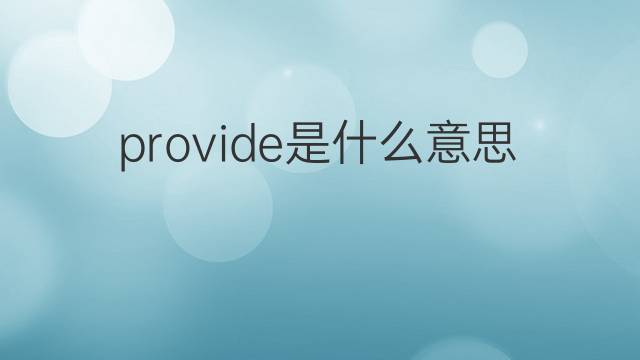 provide是什么意思 provide的中文翻译、读音、例句