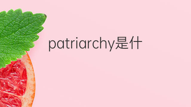 patriarchy是什么意思 patriarchy的中文翻译、读音、例句