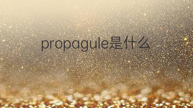 propagule是什么意思 propagule的中文翻译、读音、例句