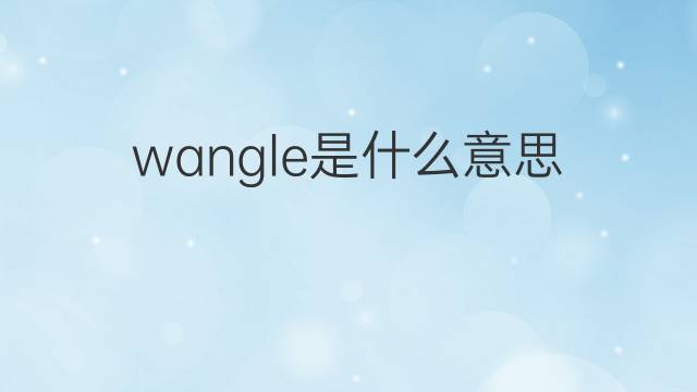 wangle是什么意思 wangle的中文翻译、读音、例句