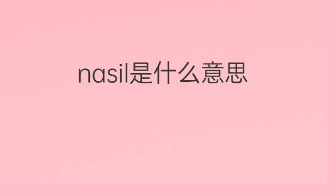 nasil是什么意思 nasil的中文翻译、读音、例句