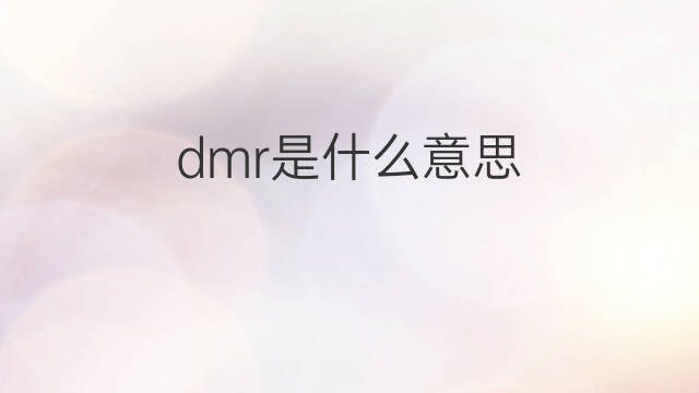 dmr是什么意思 dmr的中文翻译、读音、例句