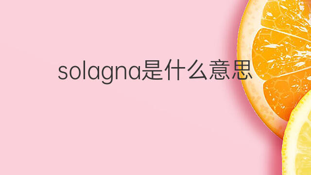 solagna是什么意思 solagna的中文翻译、读音、例句
