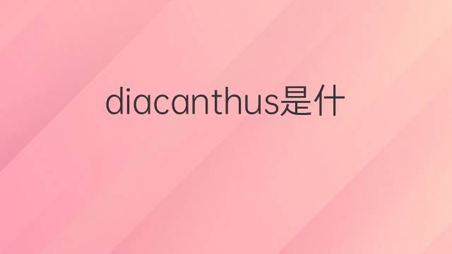 diacanthus是什么意思 diacanthus的中文翻译、读音、例句