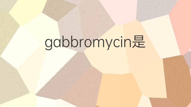 gabbromycin是什么意思 gabbromycin的中文翻译、读音、例句