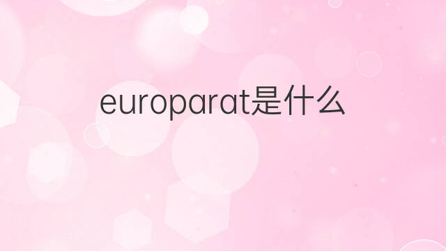 europarat是什么意思 europarat的中文翻译、读音、例句