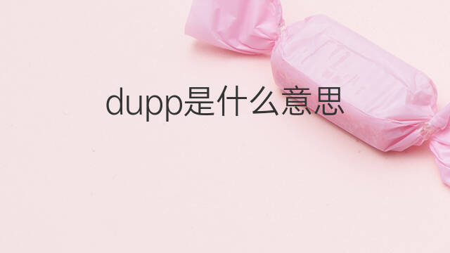 dupp是什么意思 dupp的中文翻译、读音、例句