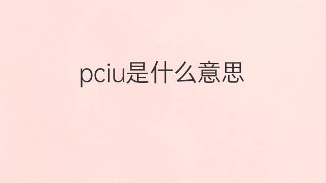 pciu是什么意思 pciu的中文翻译、读音、例句