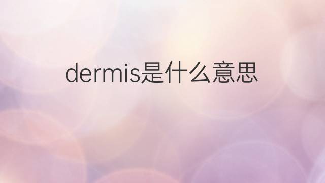 dermis是什么意思 dermis的中文翻译、读音、例句