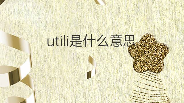 utili是什么意思 utili的中文翻译、读音、例句