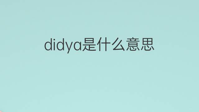didya是什么意思 didya的中文翻译、读音、例句