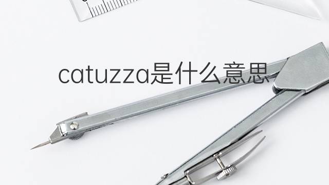 catuzza是什么意思 catuzza的中文翻译、读音、例句