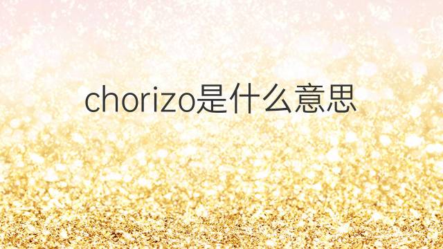 chorizo是什么意思 chorizo的中文翻译、读音、例句