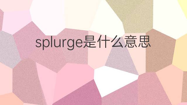 splurge是什么意思 splurge的中文翻译、读音、例句