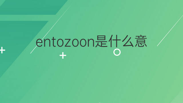 entozoon是什么意思 entozoon的中文翻译、读音、例句