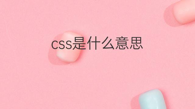 css是什么意思 css的中文翻译、读音、例句