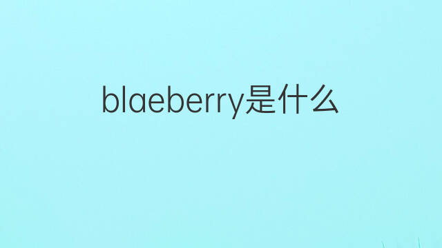 blaeberry是什么意思 blaeberry的中文翻译、读音、例句