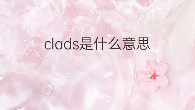 clads是什么意思 clads的中文翻译、读音、例句