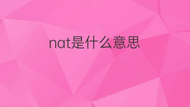 nat是什么意思 nat的中文翻译、读音、例句