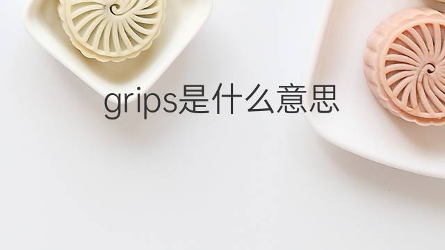 grips是什么意思 grips的中文翻译、读音、例句