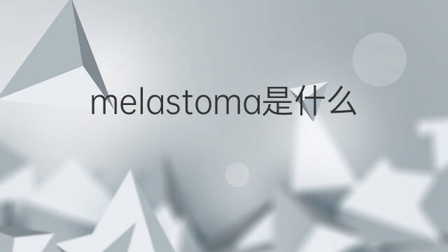 melastoma是什么意思 melastoma的中文翻译、读音、例句