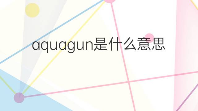 aquagun是什么意思 aquagun的中文翻译、读音、例句