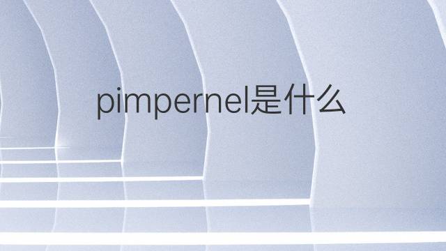 pimpernel是什么意思 pimpernel的中文翻译、读音、例句